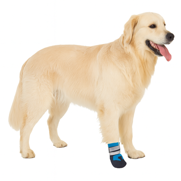 🐾 Paws for Luxury™ Pawtective Boots  “Clinically fabulous. Dog park approved.” - Image 3