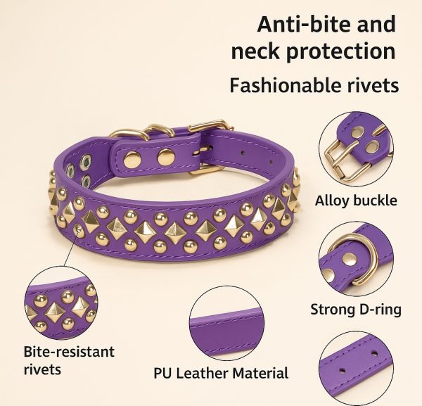 Studded in Style” Luxe Dog Collar – Gold Hardware Glam - Image 9