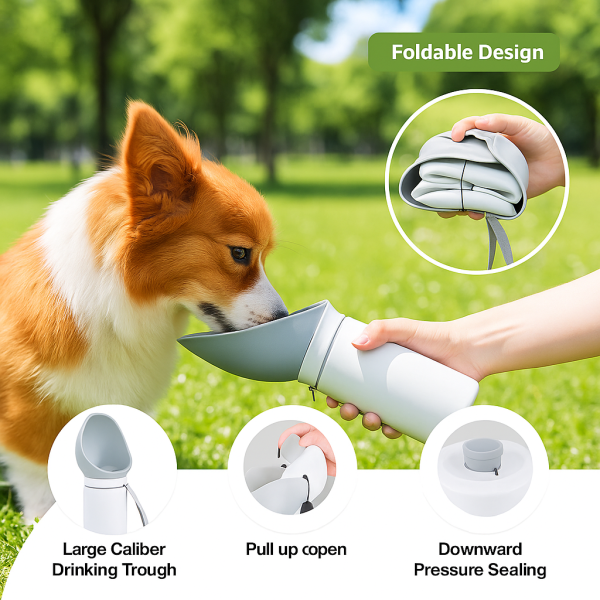 Sip in Style: Foldable Silicone Hydration Trough - Image 2