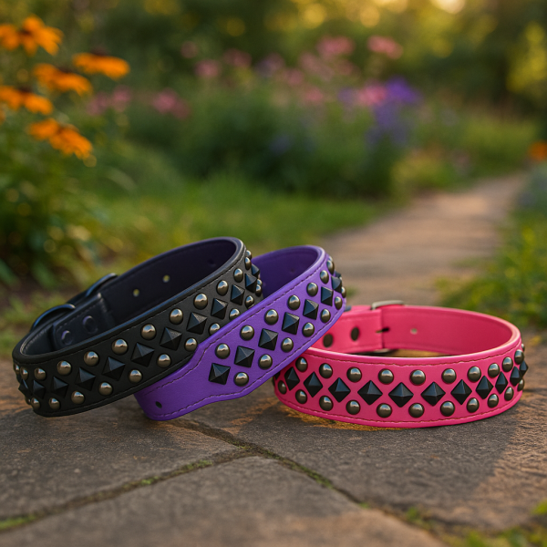 Leather look, Wide Collar with Studs - Image 2