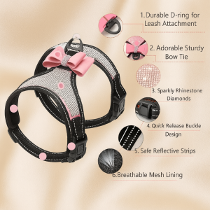 Sparkly diamante harness with bow
