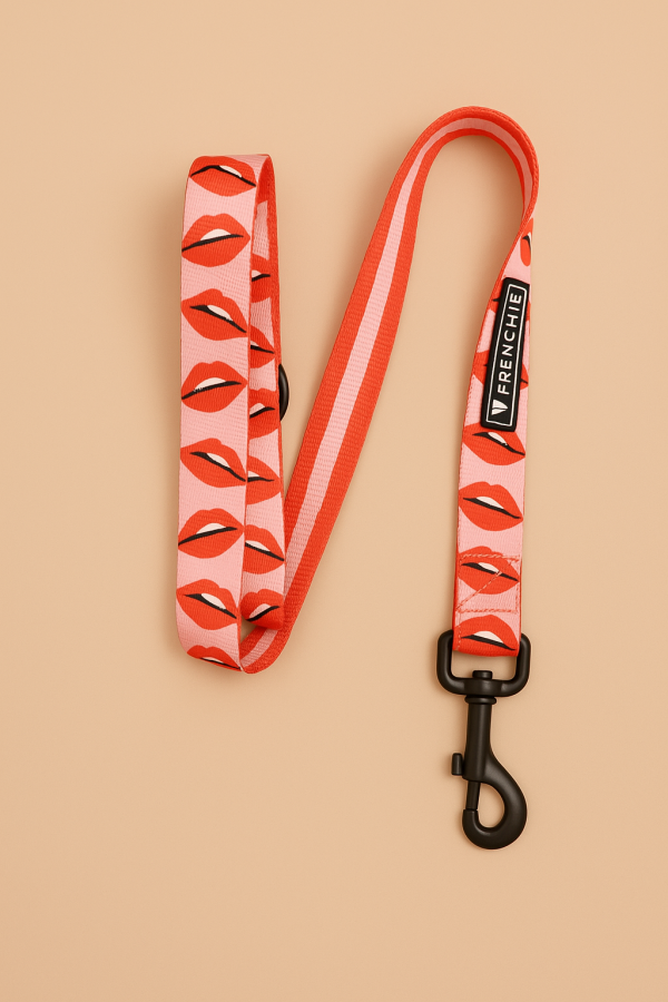 Frenchie Luxe Collection Leads – One Size, Ultimate Style - For all boujee breeds, not just Frenchies! - Image 2