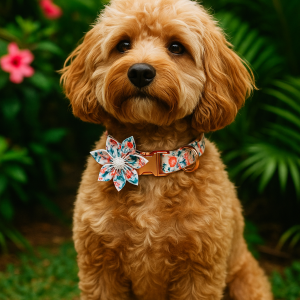 Flowery Collar, with Gold Buckle and Diamanté Centre Detail
