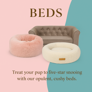 Dreamy Naps & Luxe Lounging