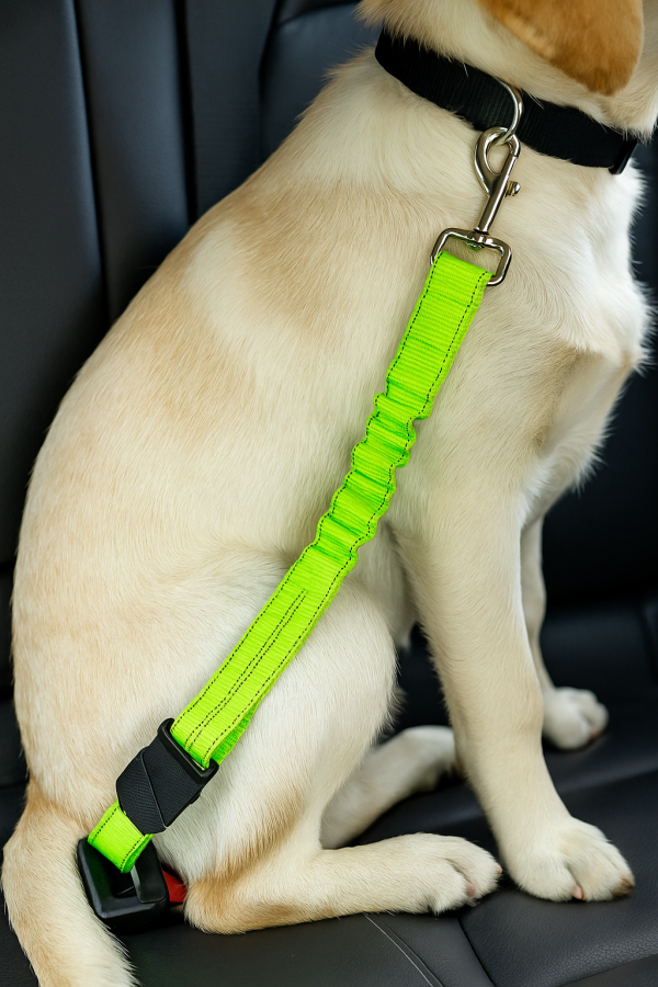 Luxury Bungee Dog Car Seatbelt Lead – Adjustable & Chic - Image 5