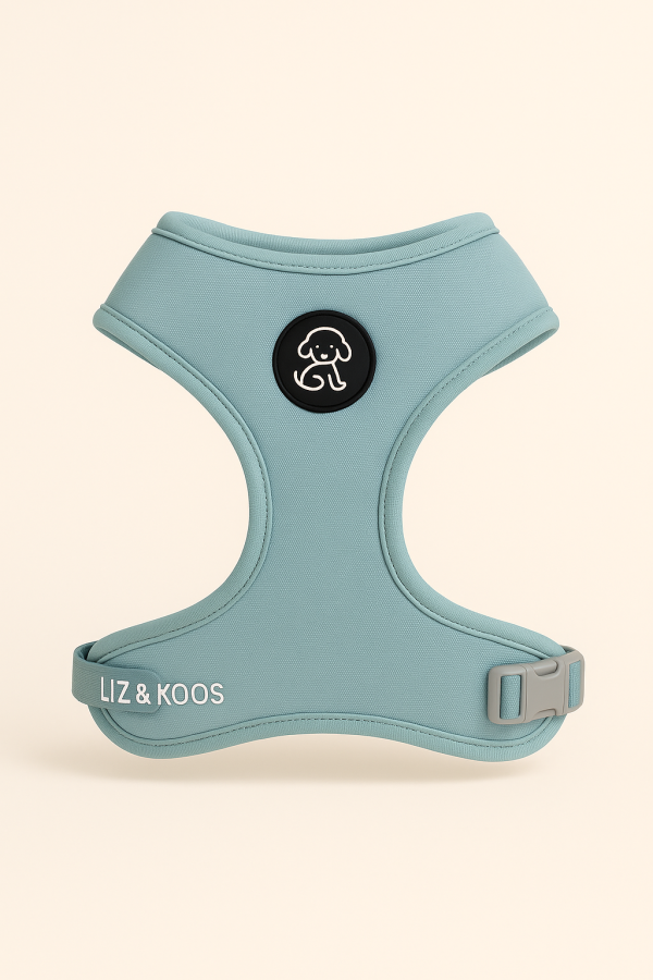 Soft blue harnesses, Lis and Koos - Image 3