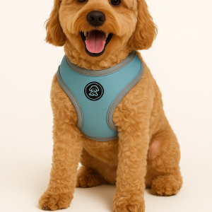 Soft blue harnesses, Lis and Koos