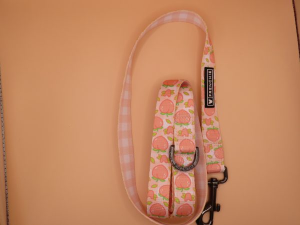 Frenchie Luxe Collection Leads – One Size, Ultimate Style - For all boujee breeds, not just Frenchies! - Image 5