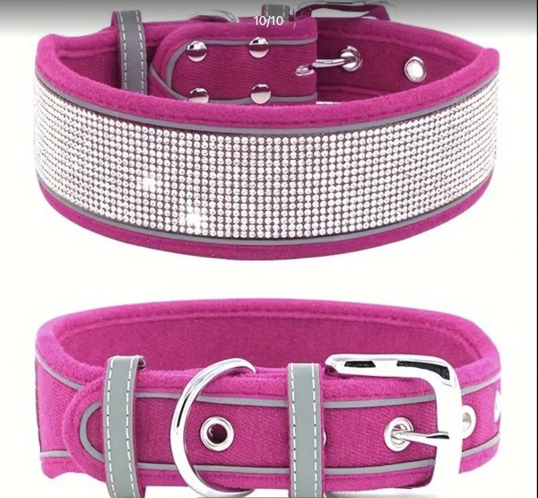 Diamanté wide collar - reflective strips, velvet micro fibre texture - Image 4