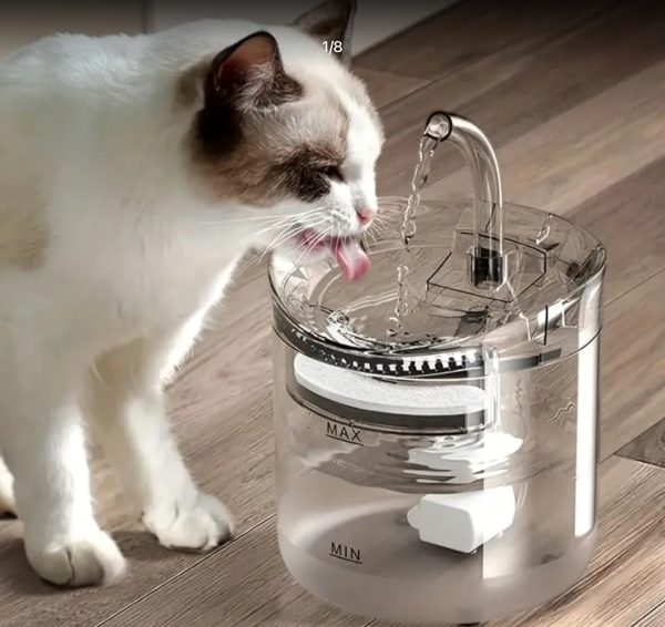 New Automatic Water Dispenser - With capacity of about 1.8L - Image 4