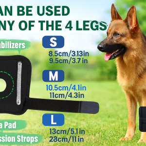 The Luxe Limb Brace – Orthopaedic Support for Stylish Paws