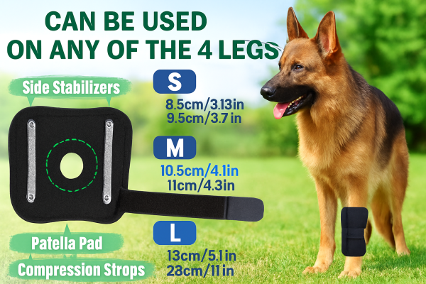 The Luxe Limb Brace – Orthopaedic Support for Stylish Paws