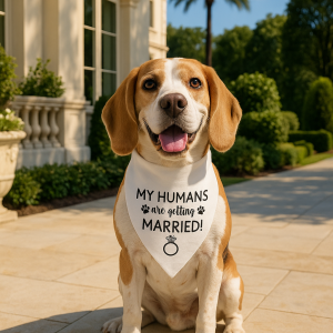🪄 Title: “Pawposal Perfection: Wedding Announcement Bandana”