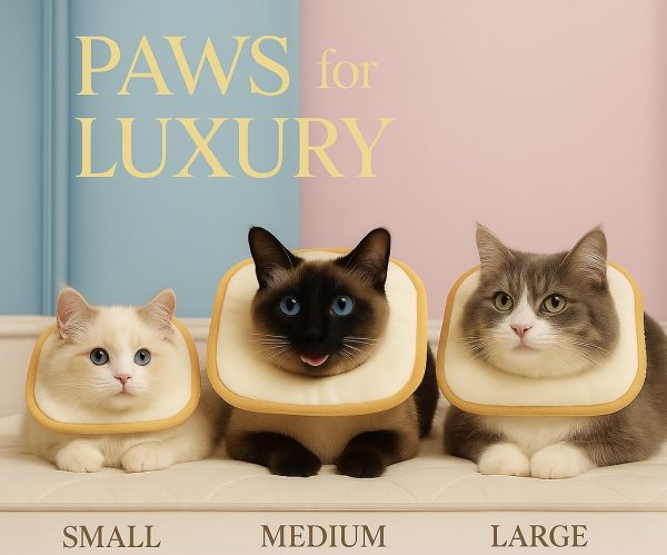 The “Toasty Loaf” Veterinary Recovery Collar – For the Bougie Breadwinner Pet 🍞 - Image 3