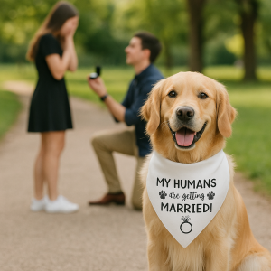 💍   My Humans Are Getting Married