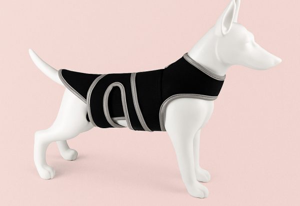 Canine Comfort Luxe Full Body Support Brace – Veterinary-Recommended for Spinal & Post-Injury Care - Image 2